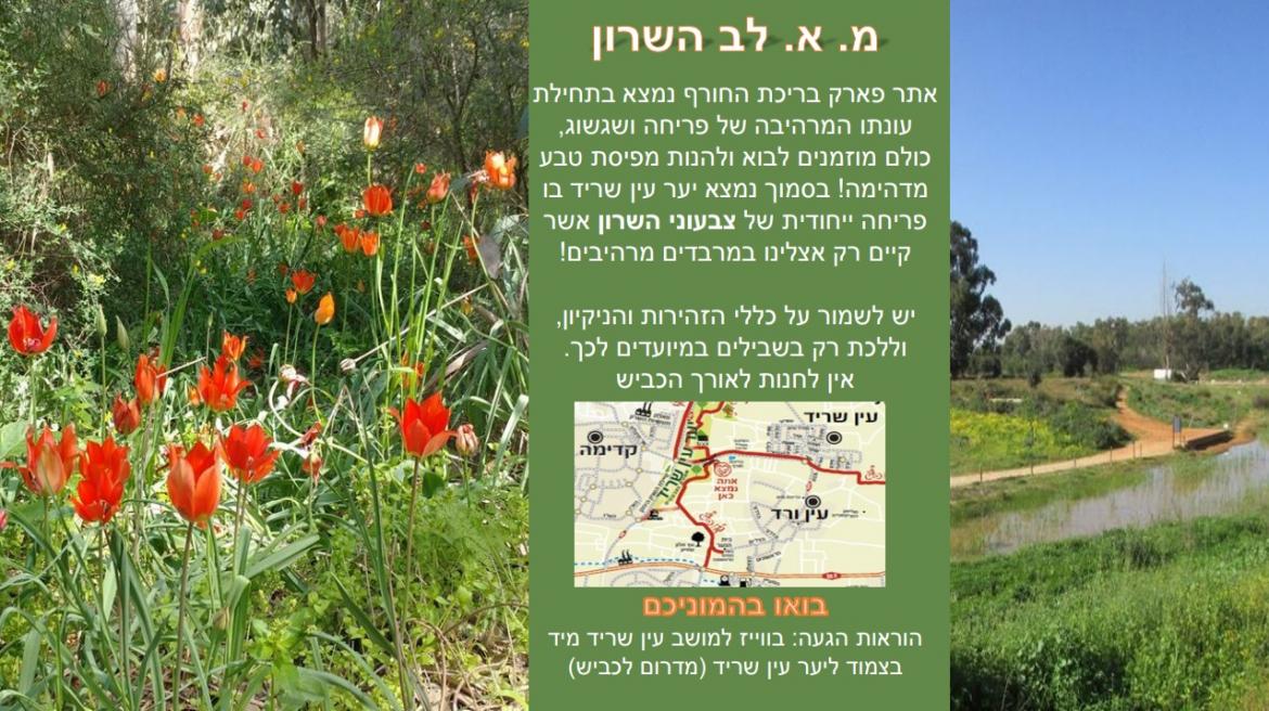 פריחת אתר פארק בריכת החורף
