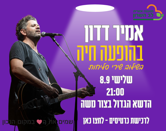 אמיר דדון